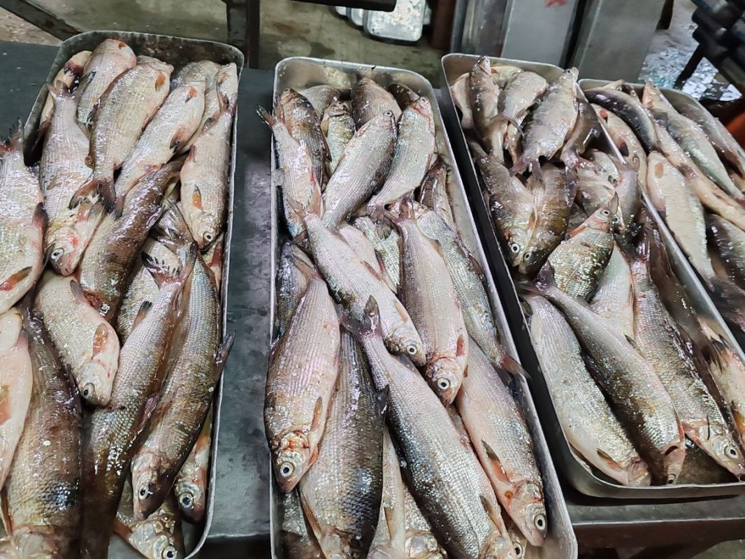 ������: ��������� ������ � �������� �������������