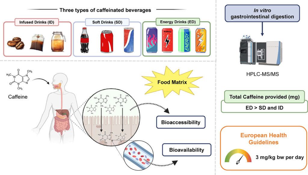 �������������� � �������� �������