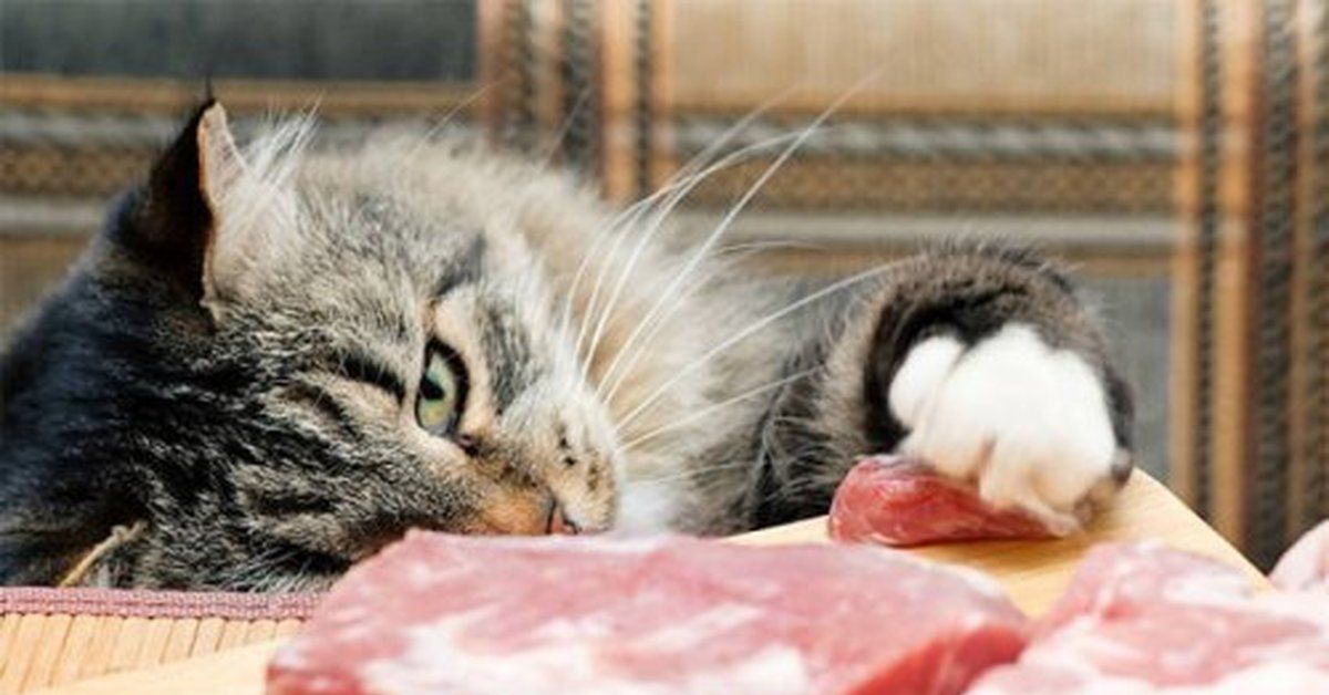 ����� ��� ������: ��� ��������� ������� ����� ��� �������� � �������