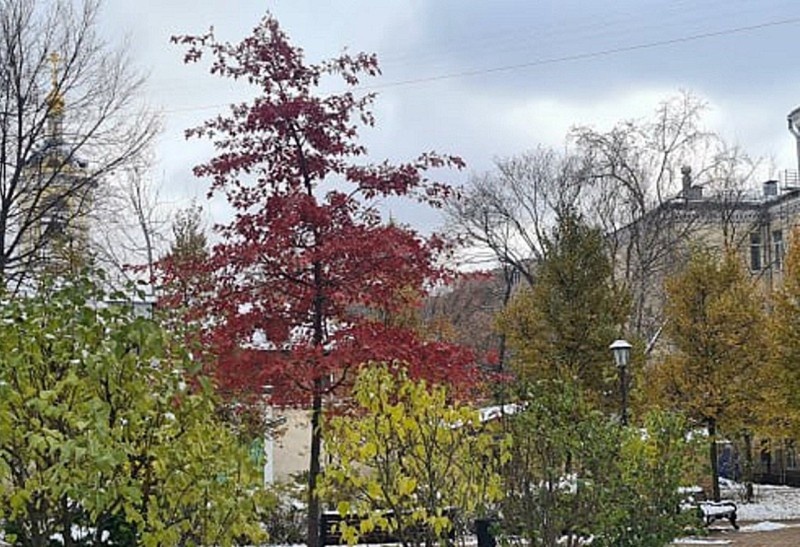 Холодный ноябрь: как подготовиться к дождливым вечерам