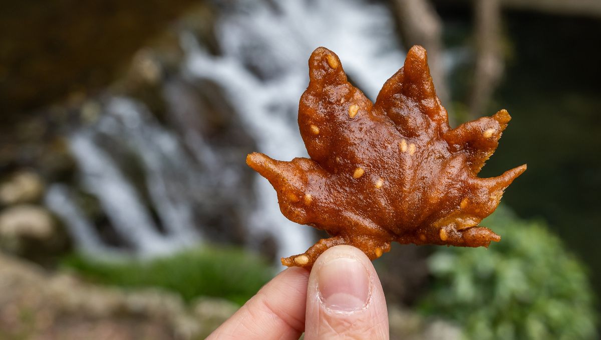 ���������� ������� ����: ����� ��������� � ������������ �������������