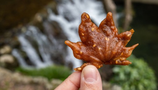 ���������� ������� ����: ����� ��������� � ������������ �������������