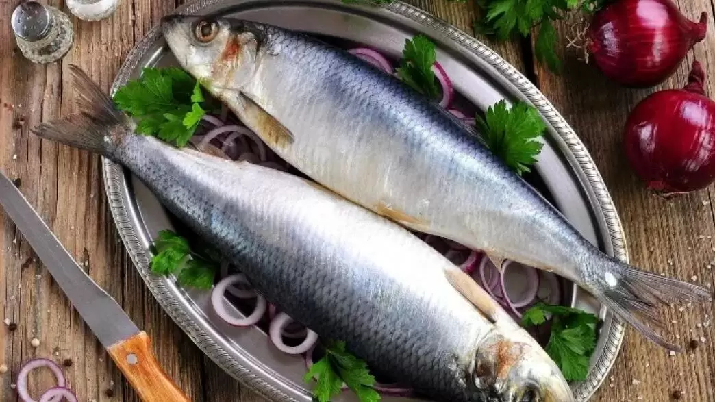 Сельдь: новая звезда на столах россиян