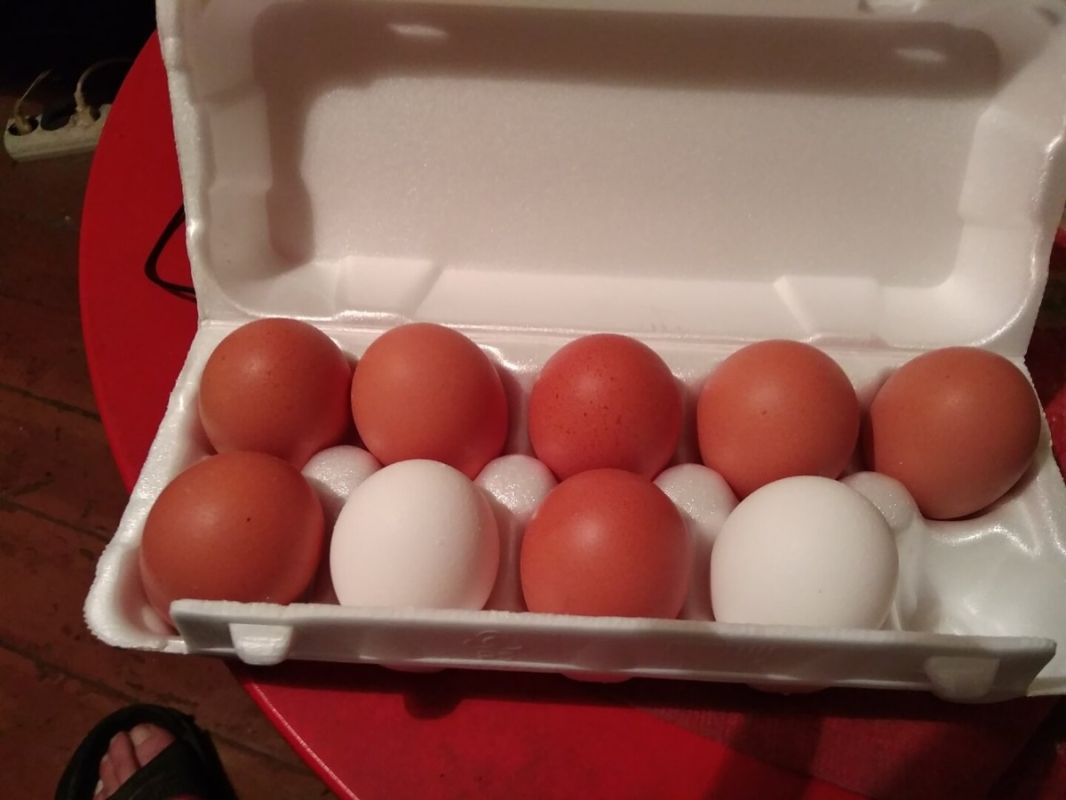 ���������� ��������� � �����: ���� ������ �������� ����������