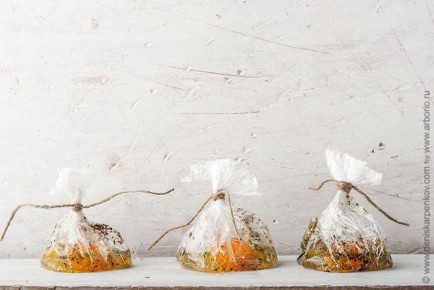 ��� �������� ����� ������������ ��� ���������� ��������