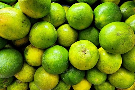 Как питание влияет на интеллект и эмоциональную устойчивость: секреты хорошего самочувствия