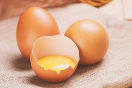 Гоголь-моголь: Путешествие во времени и вкусе