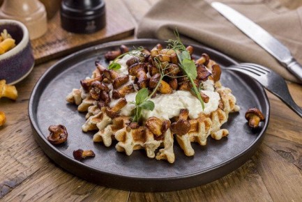 ������ ������������ ����� � ���������� ���������