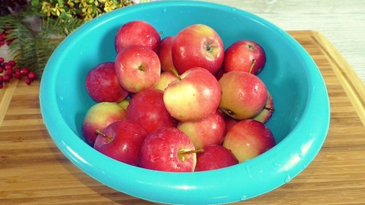 ����� ��� ��������� ��������: ������ � ������� ������ � ��������