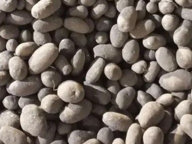 ������������ �������� ��������� ��������� � ������ �� �����