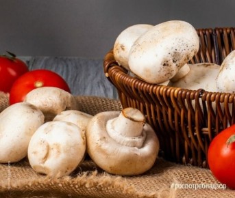 ��� ��������� ������� ����������: ������ ���������