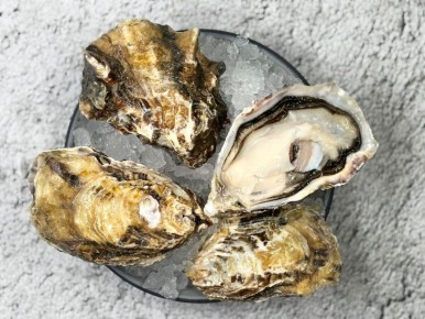 ������� �����: ������� ���������, ������� ����� �����������