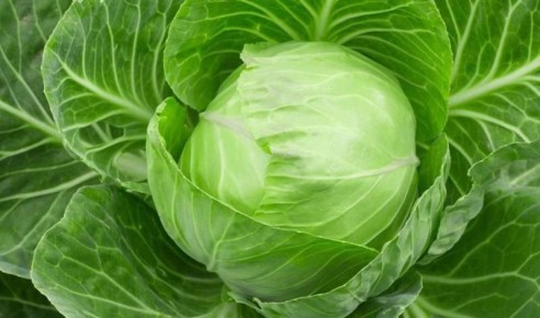 ��� ���������� ������� � ������ �� ����: ���������, ������� �� ��������