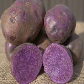 ������� ���������: ������������ �����, ������� ����� �����������