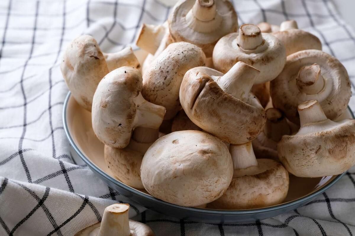 Как правильно мыть грибы: секреты безупречного вкуса